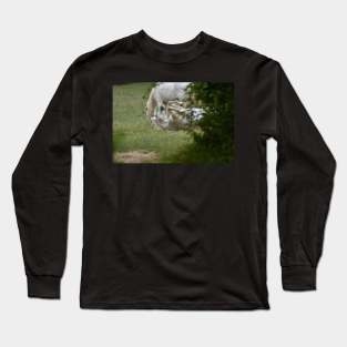 Wild Horse Long Sleeve T-Shirt